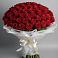 Букет 101 Красная роза Блэк Мэджик в Ванино