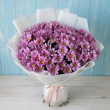 Букет цветов из:  Хризантемы в Ванино