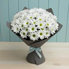 Букет цветов из:  Хризантемы в Ванино