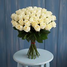 Букет 51 Белая роза Эдлесс Лав #REPLACE_PRED# Ванино