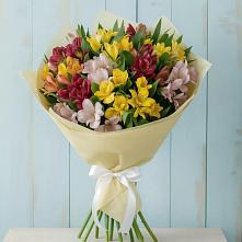 Букет цветов из:  Альстромерии в Ванино