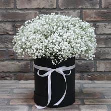 Цветочная композиция из Гипсофила в шляпной коробке в Ванино